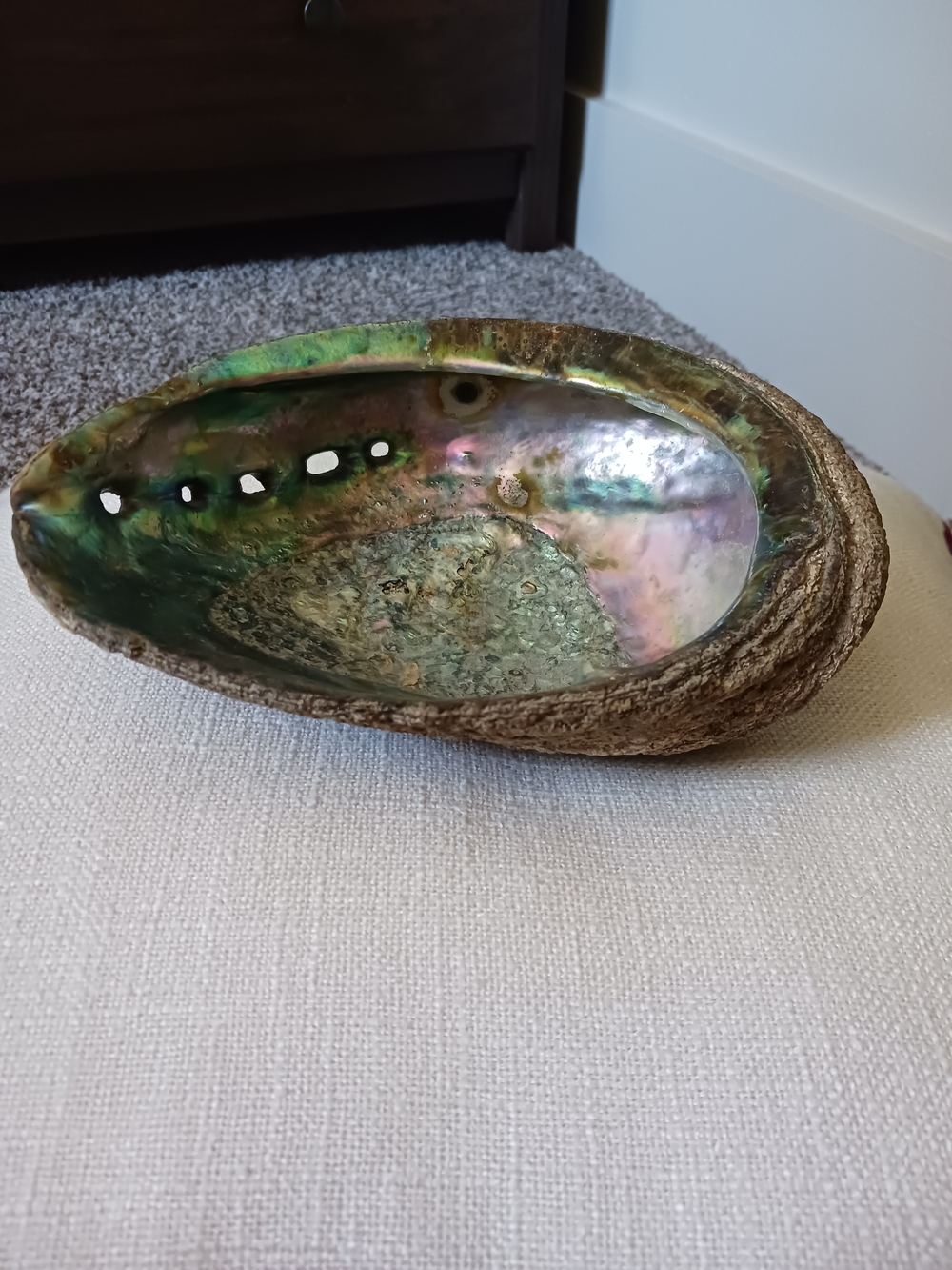 Natural Abalone Shell Decorative Bowl - Iridescent Green & Pink